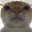 /uploads/2025-09-17/1758098652-497057-32.png